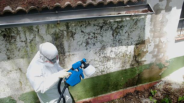 Top rated local Attic Mold Remediation specialists in Fort Washington, MD